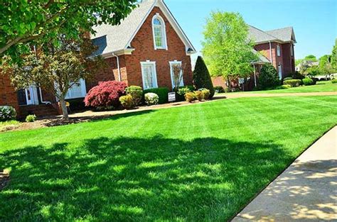 Sacramento Sod, Sod Installation & Hydroseed 